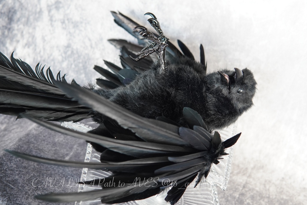 ハシボソガラス