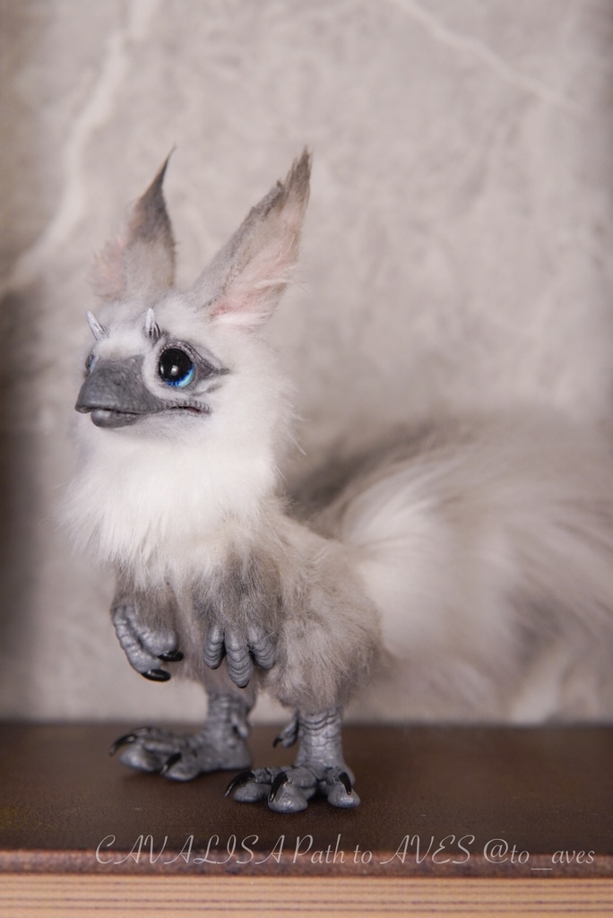 【10/30 20時 販売開始】ユウティラヌス〈シャム〉A