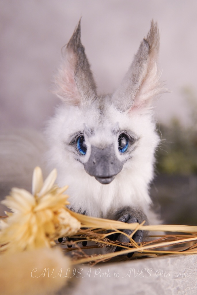 【10/30 20時 販売開始】ユウティラヌス〈シャム〉A