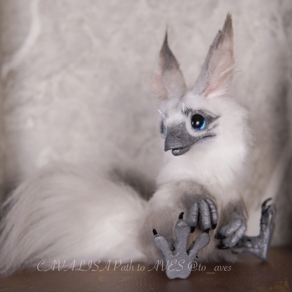 【10/30 20時 販売開始】ユウティラヌス〈シャム〉A