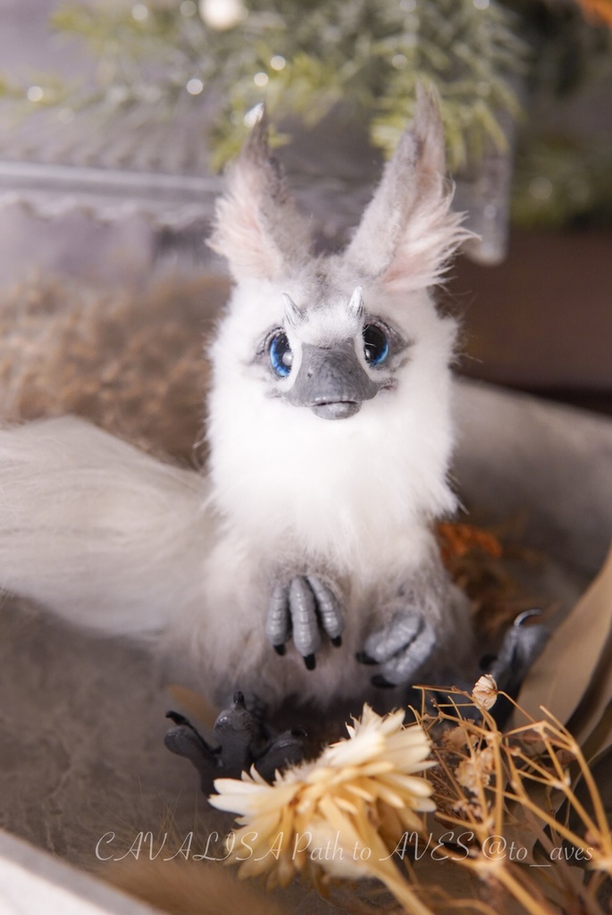 【10/30 20時 販売開始】ユウティラヌス〈シャム〉A