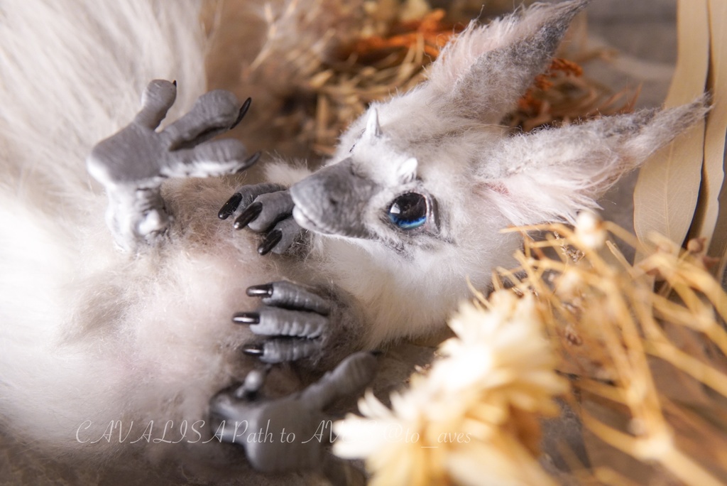 【10/30 20時 販売開始】ユウティラヌス〈シャム〉A