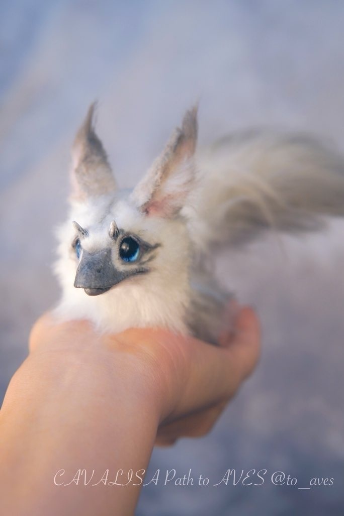 【10/30 20時 販売開始】ユウティラヌス〈シャム〉A