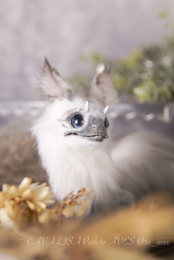 【10/30 20時 販売開始】ユウティラヌス〈シャム〉B