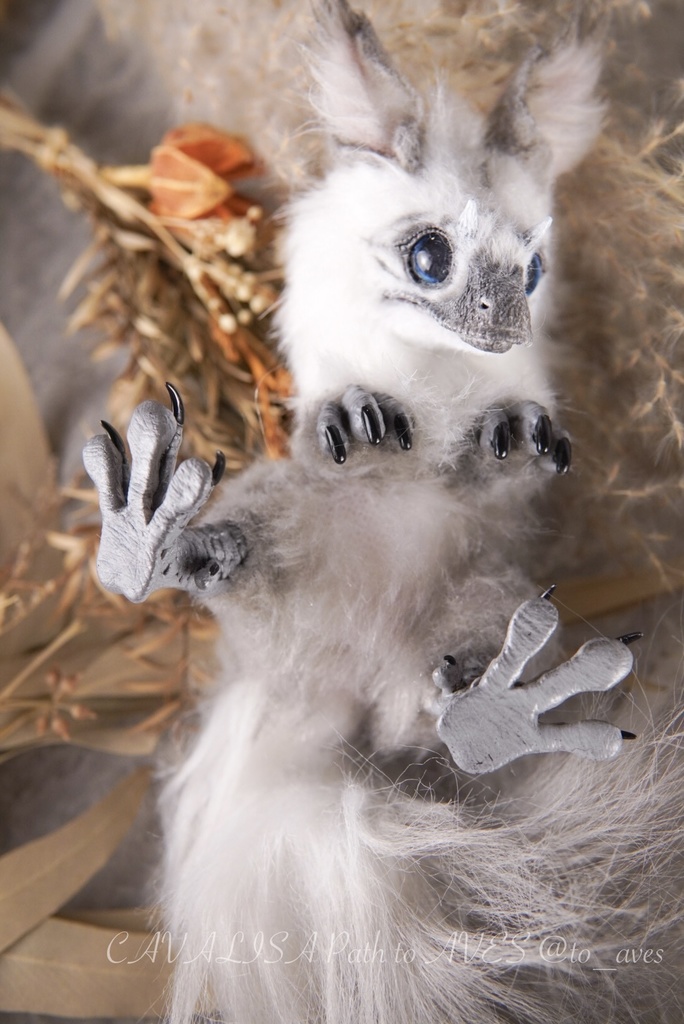 【10/30 20時 販売開始】ユウティラヌス〈シャム〉B