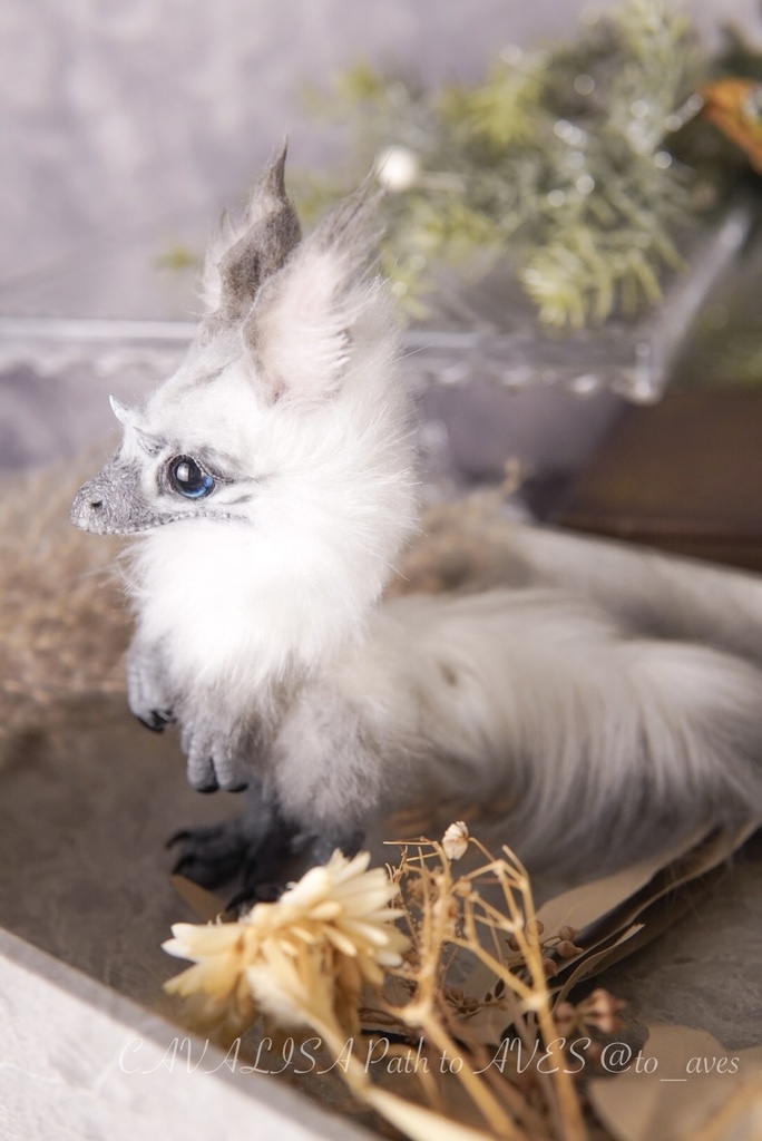 【10/30 20時 販売開始】ユウティラヌス〈シャム〉B