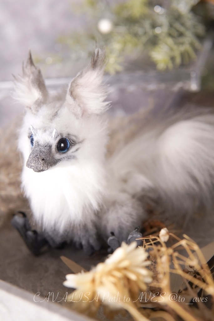 【10/30 20時 販売開始】ユウティラヌス〈シャム〉B