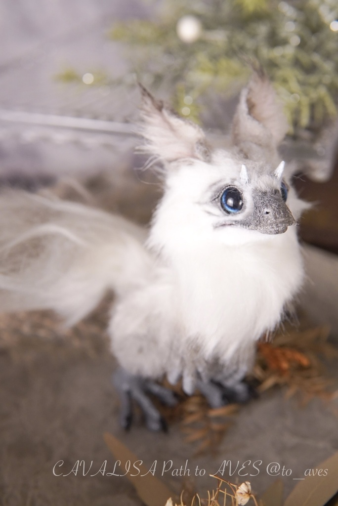 【10/30 20時 販売開始】ユウティラヌス〈シャム〉B