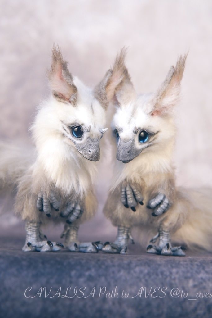 【10/30 20時 販売開始】ユウティラヌス〈シャム〉B