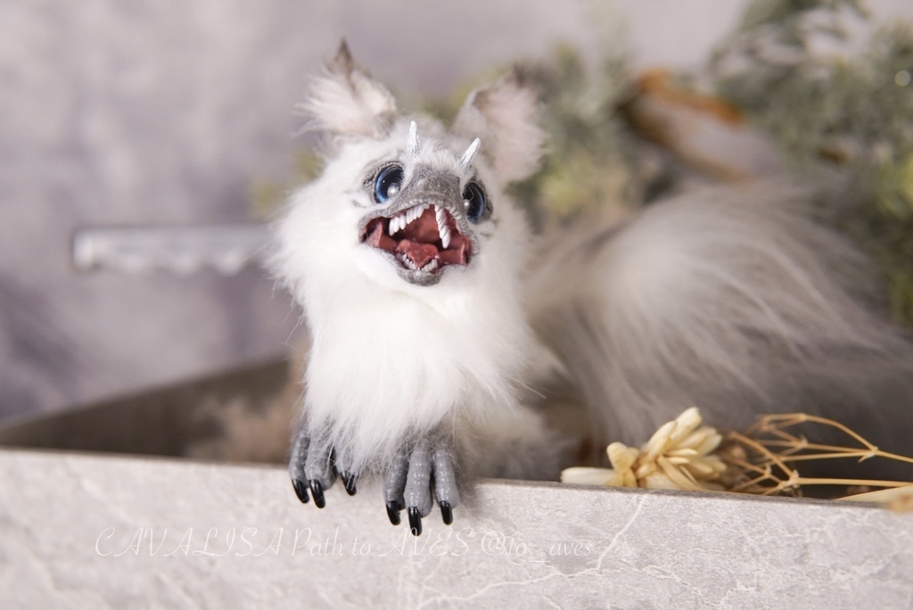 【10/30 20時 販売開始】ユウティラヌス〈シャム〉B