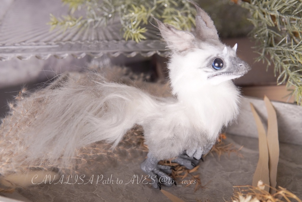 【10/30 20時 販売開始】ユウティラヌス〈シャム〉B