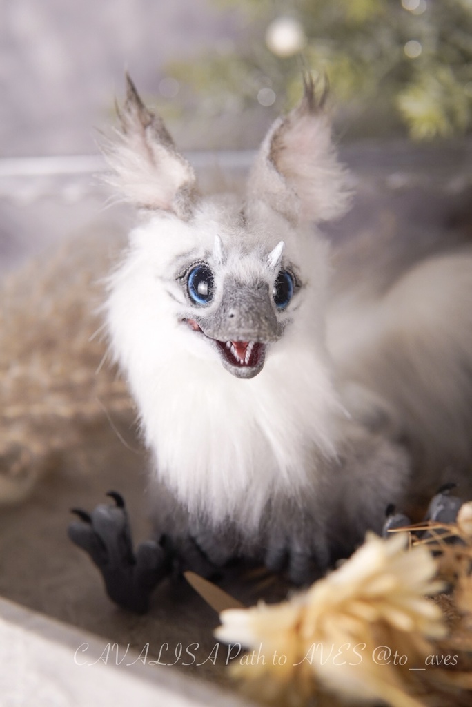 【10/30 20時 販売開始】ユウティラヌス〈シャム〉B