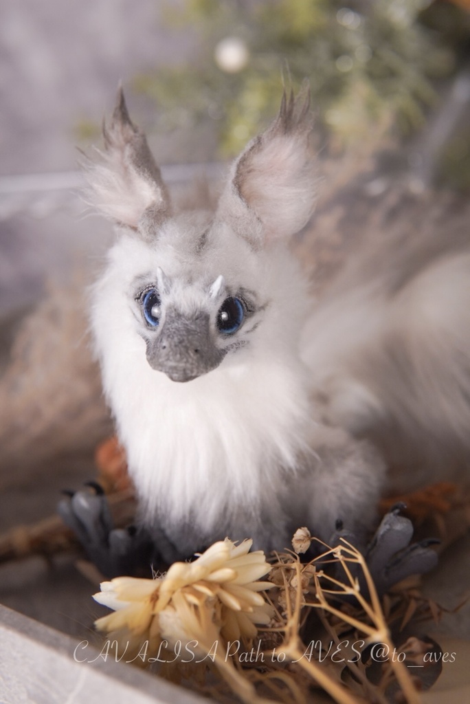 【10/30 20時 販売開始】ユウティラヌス〈シャム〉B