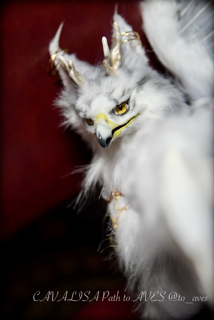 【11/5 20時 販売開始】 ニニギグリフォン