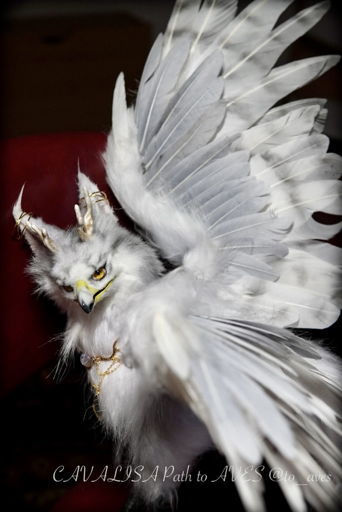 【11/5 20時 販売開始】 ニニギグリフォン