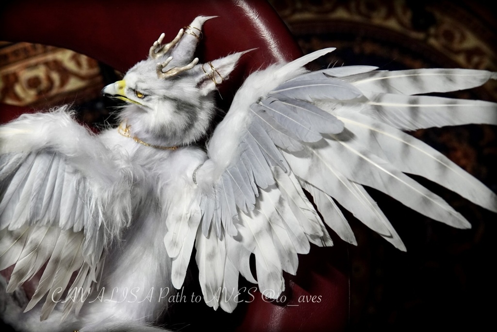 【11/5 20時 販売開始】 ニニギグリフォン