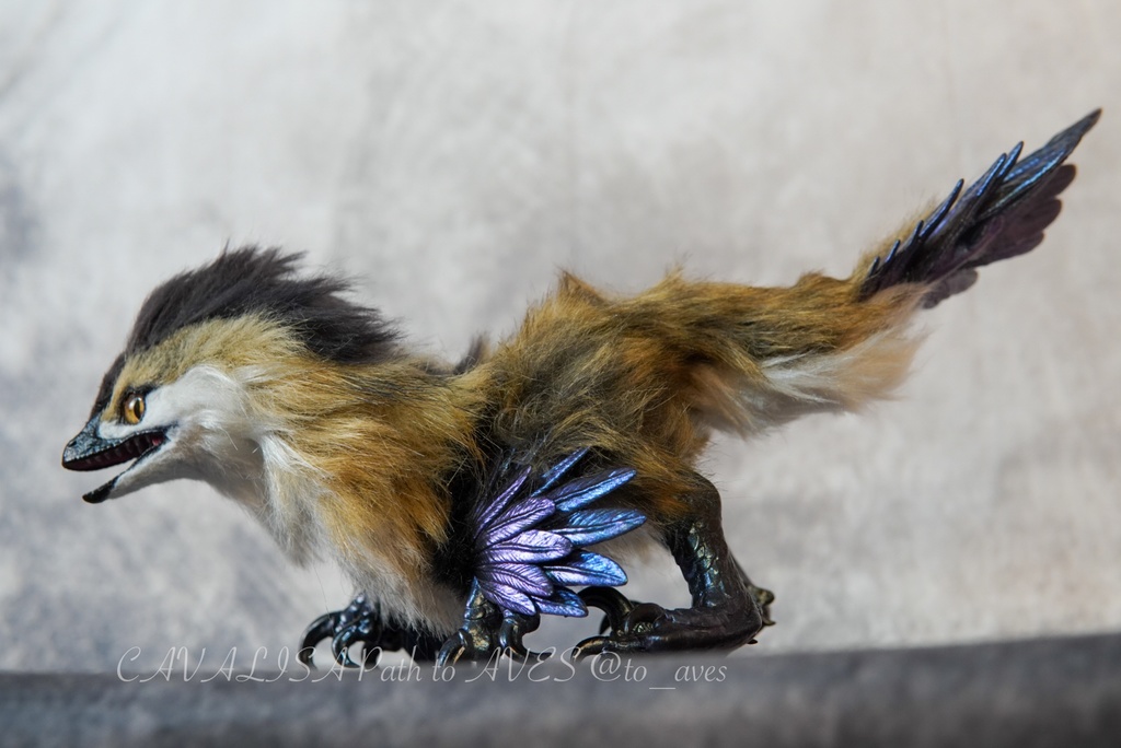 【11/11 20時 販売開始】 モルフォラプトル