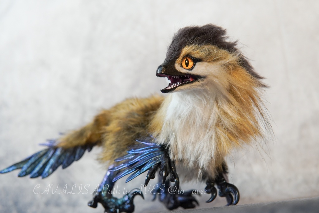 【11/11 20時 販売開始】 モルフォラプトル