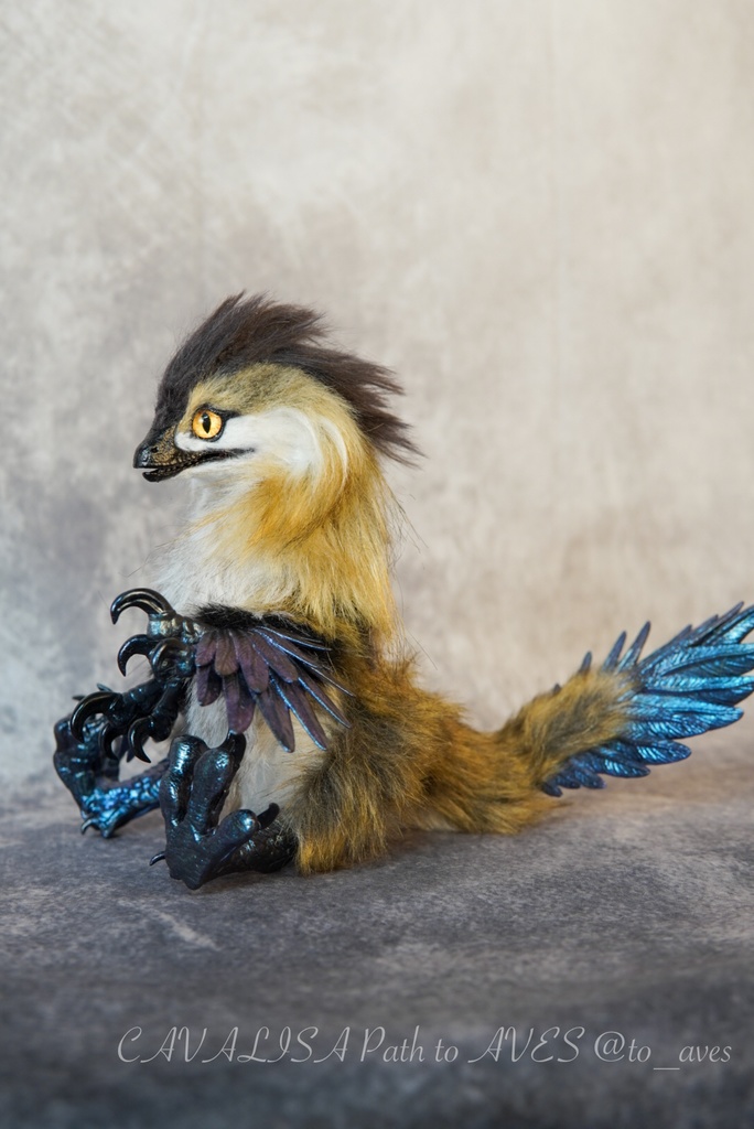 【11/11 20時 販売開始】 モルフォラプトル