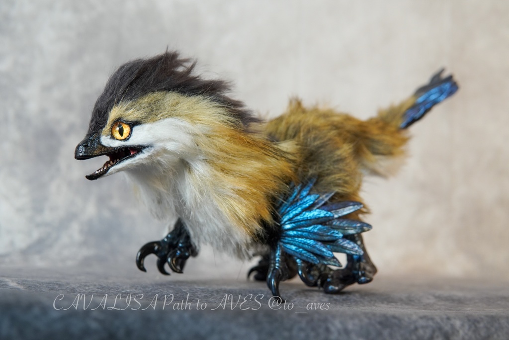 【11/11 20時 販売開始】 モルフォラプトル