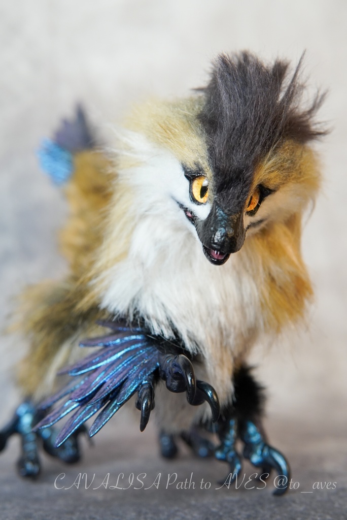 【11/11 20時 販売開始】 モルフォラプトル