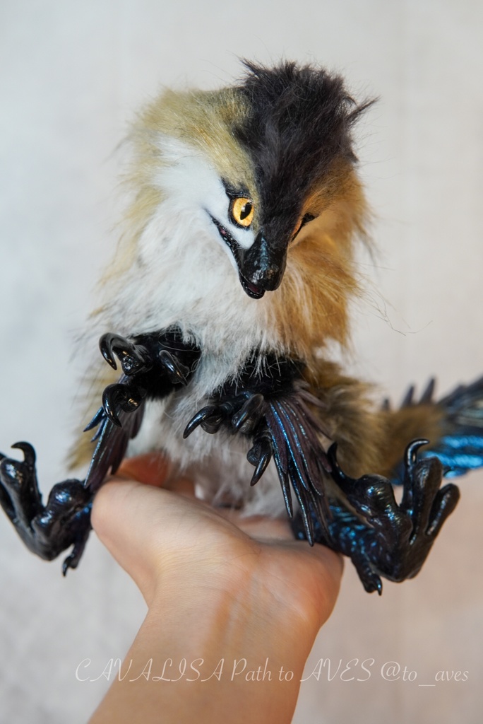 【11/11 20時 販売開始】 モルフォラプトル