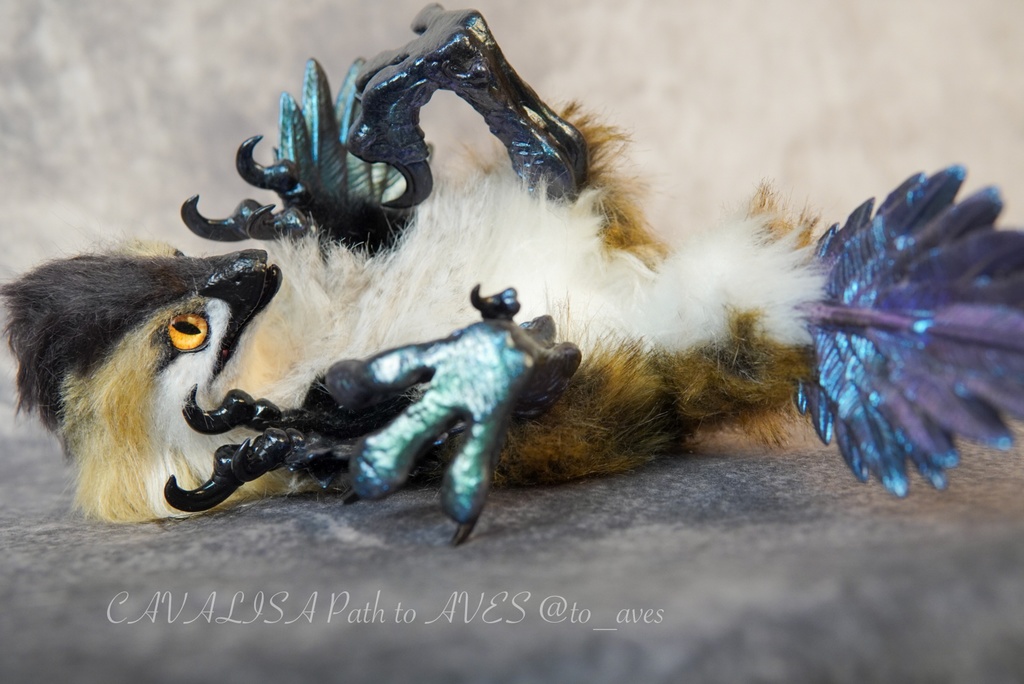 【11/11 20時 販売開始】 モルフォラプトル