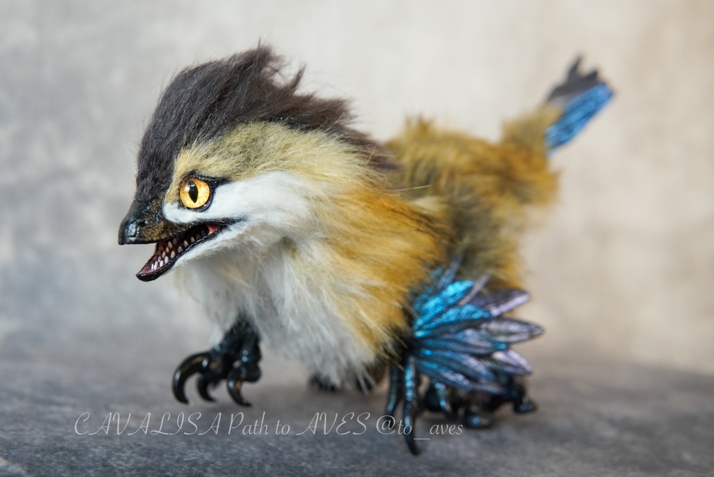 【11/11 20時 販売開始】 モルフォラプトル