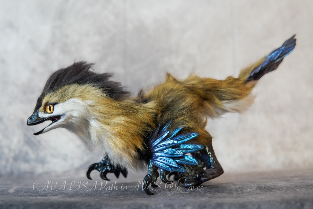 【11/11 20時 販売開始】 モルフォラプトル