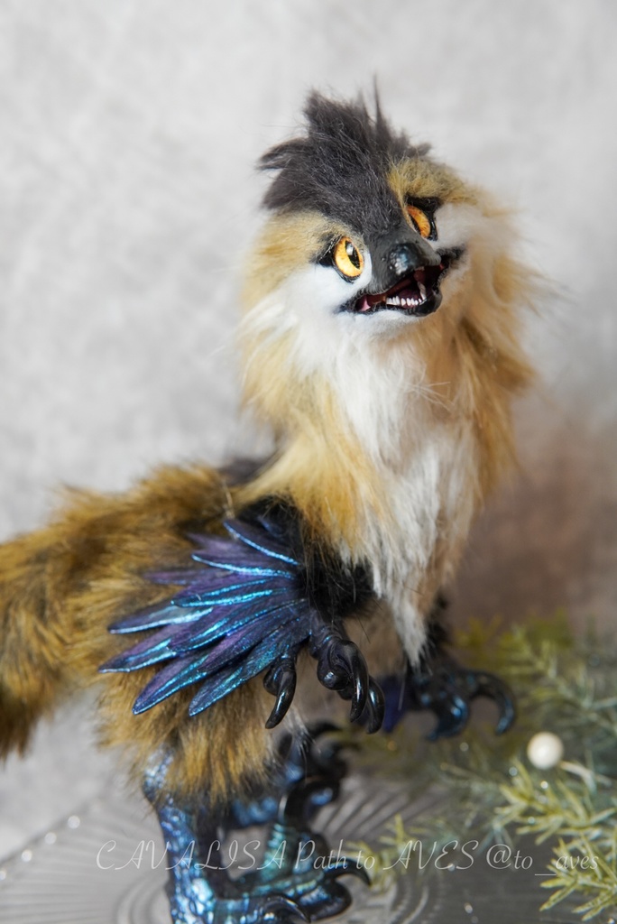 【11/11 20時 販売開始】 モルフォラプトル