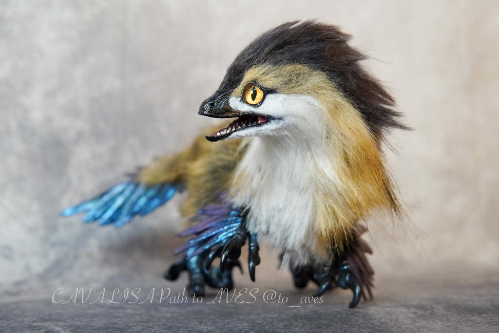 【11/11 20時 販売開始】 モルフォラプトル