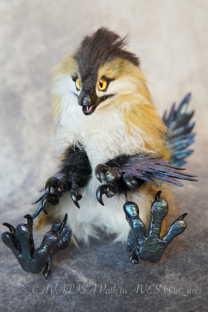 【11/11 20時 販売開始】 モルフォラプトル