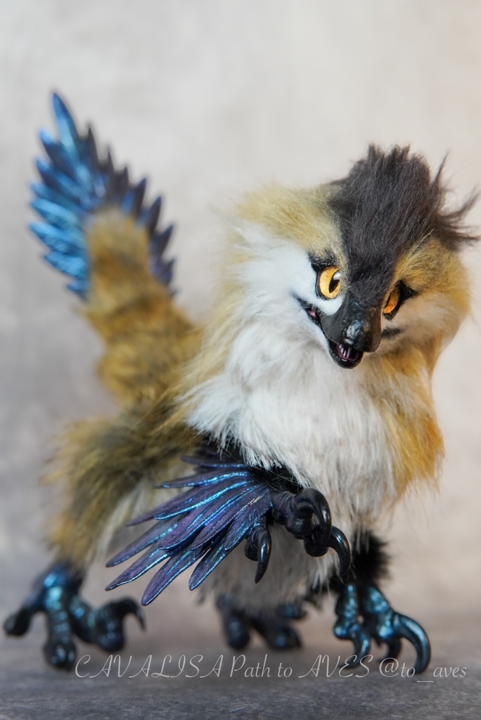 【11/11 20時 販売開始】 モルフォラプトル