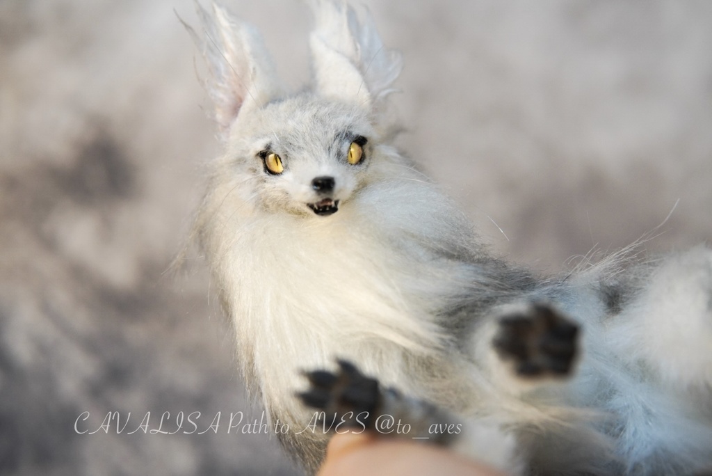 【11/28 20時 販売開始】 霧狼尾(Murobi)