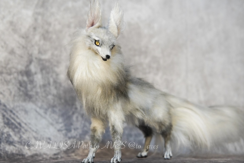 【11/28 20時 販売開始】 霧狼尾(Murobi)