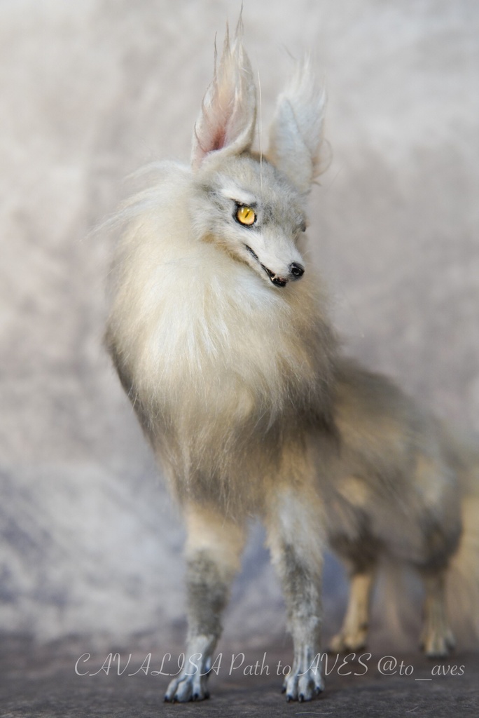 【11/28 20時 販売開始】 霧狼尾(Murobi)