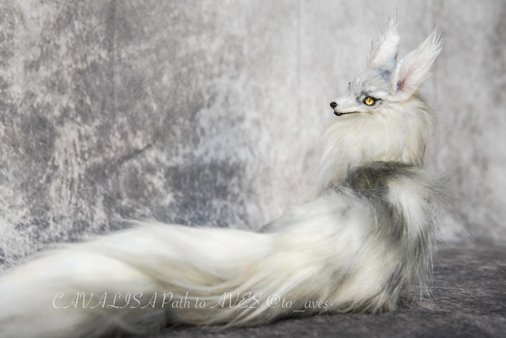 【11/28 20時 販売開始】 霧狼尾(Murobi)