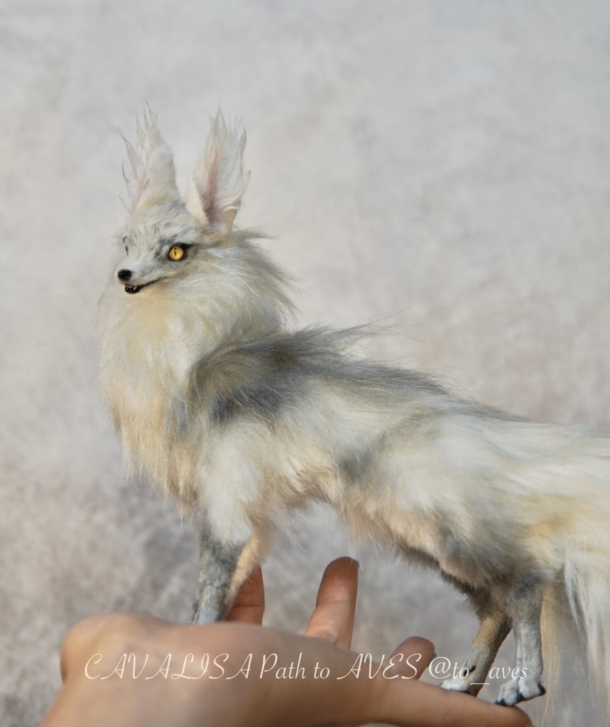 【11/28 20時 販売開始】 霧狼尾(Murobi)