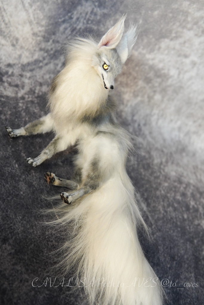 【11/28 20時 販売開始】 霧狼尾(Murobi)