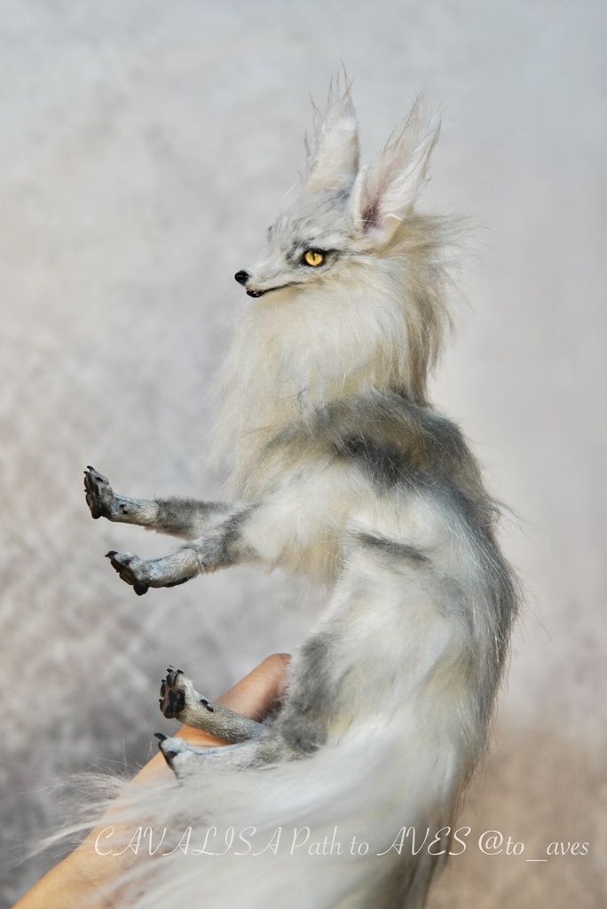 【11/28 20時 販売開始】 霧狼尾(Murobi)