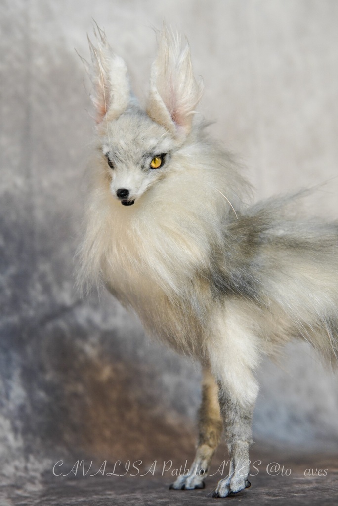 【11/28 20時 販売開始】 霧狼尾(Murobi)