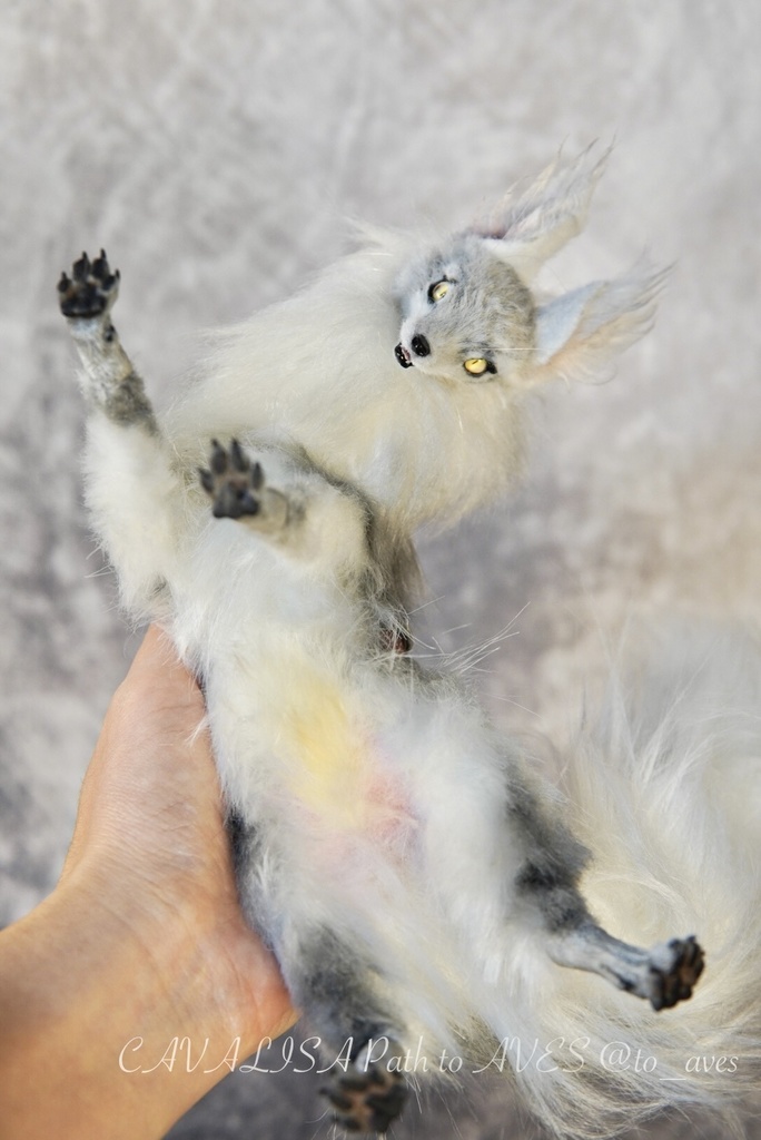 【11/28 20時 販売開始】 霧狼尾(Murobi)