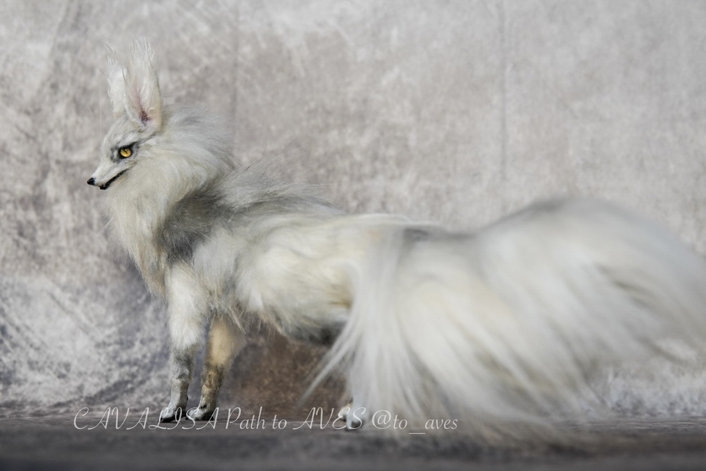 【11/28 20時 販売開始】 霧狼尾(Murobi)