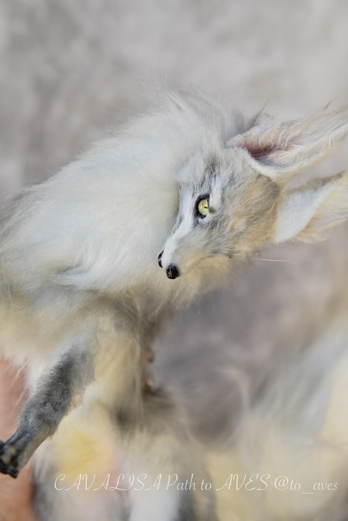 【11/28 20時 販売開始】 霧狼尾(Murobi)