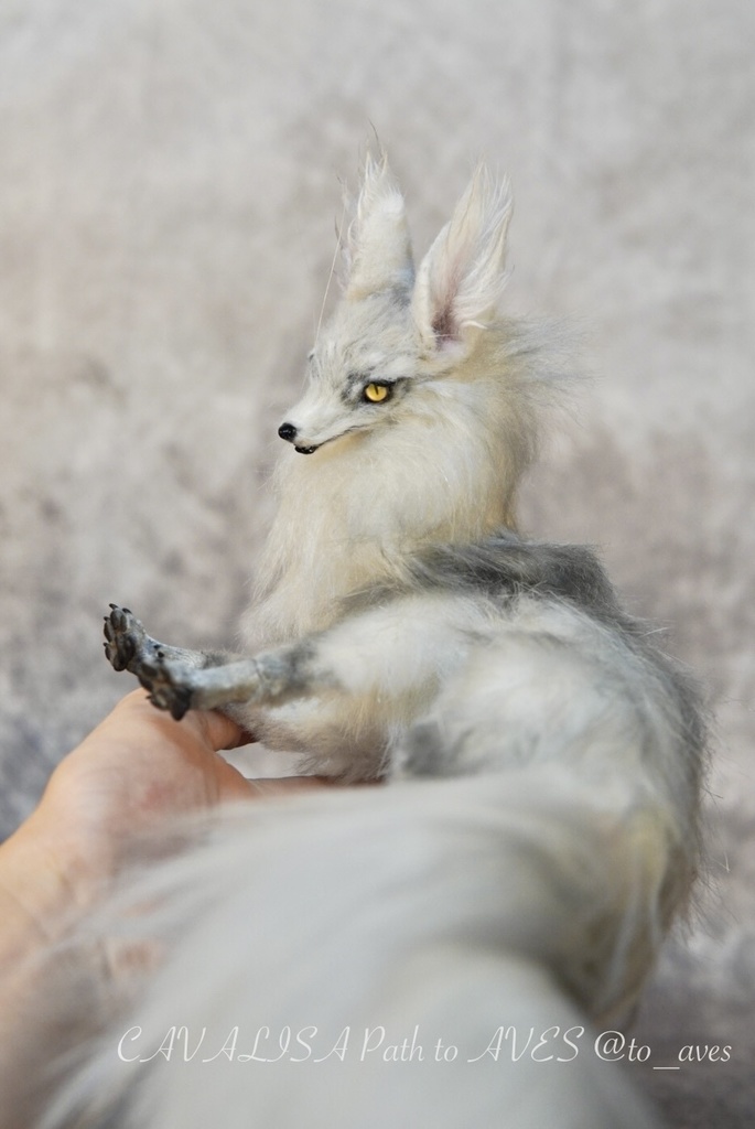 【11/28 20時 販売開始】 霧狼尾(Murobi)