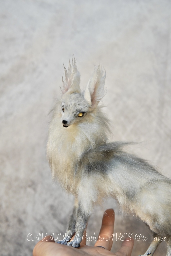 【11/28 20時 販売開始】 霧狼尾(Murobi)