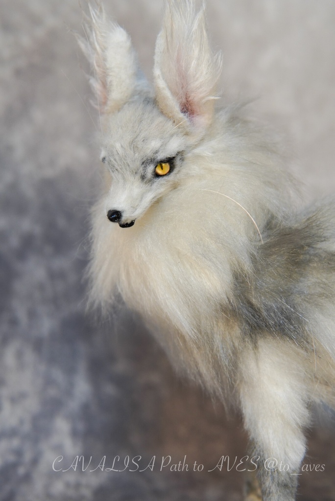 【11/28 20時 販売開始】 霧狼尾(Murobi)