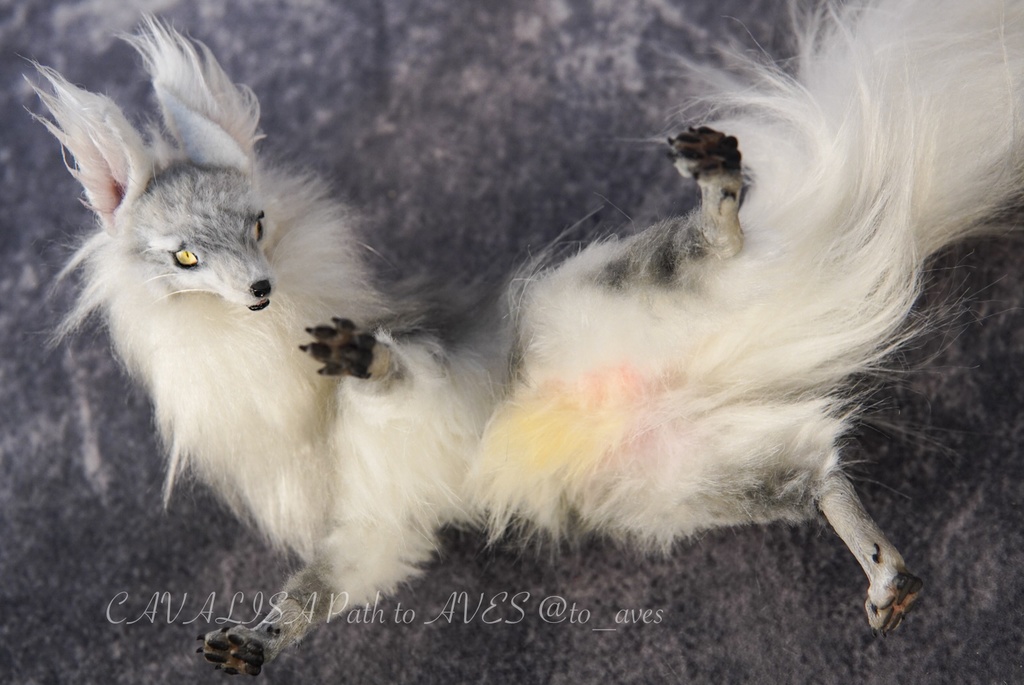 【11/28 20時 販売開始】 霧狼尾(Murobi)