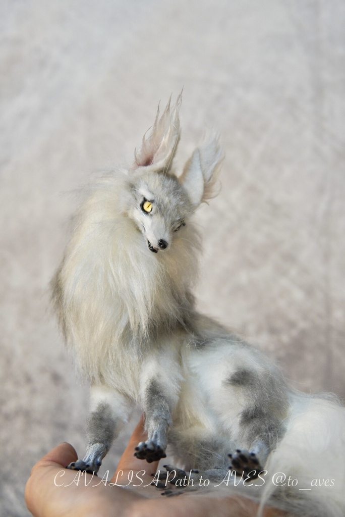 【11/28 20時 販売開始】 霧狼尾(Murobi)