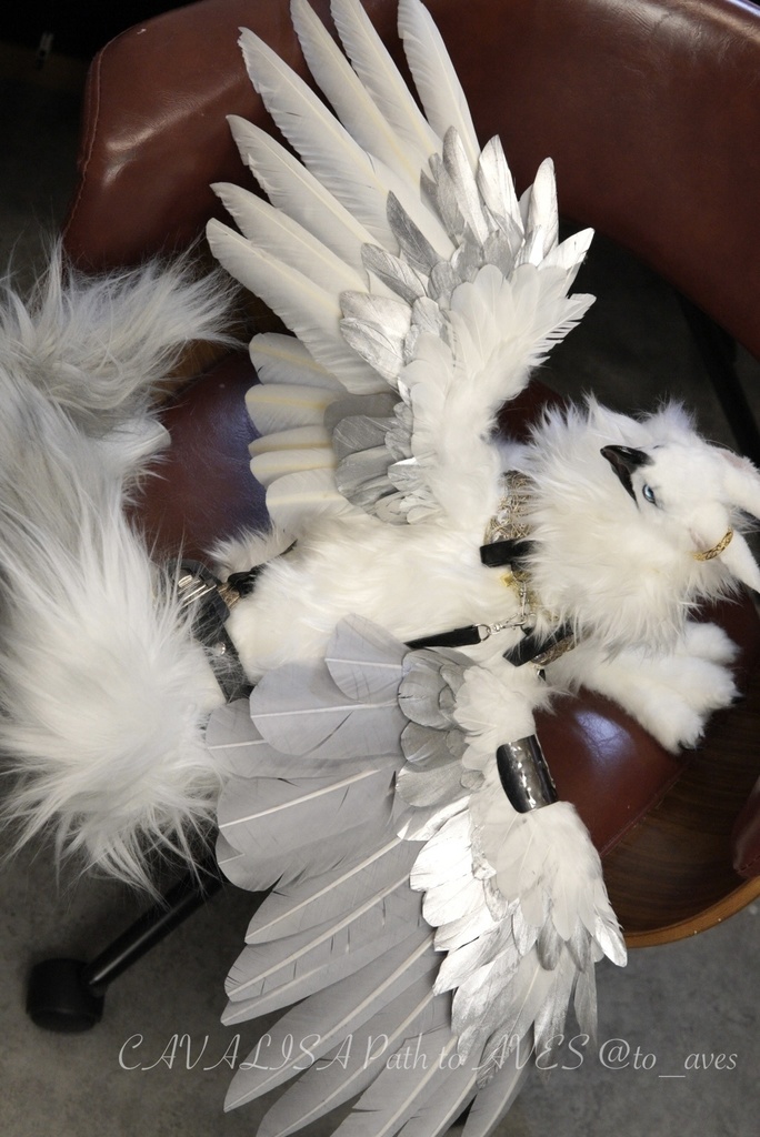 スノーヒッポグリフ